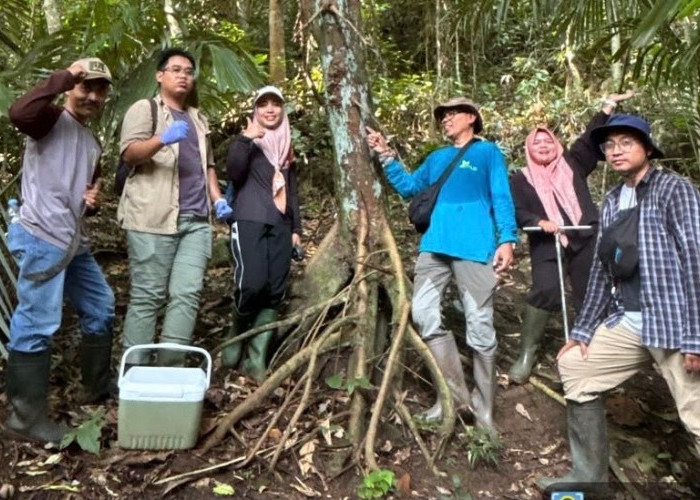 Riset UM Ungkap 123 Sinyal Metabolit Pala Jawa, Jejak Kimia Tumbuhan Langka di Malang Selatan