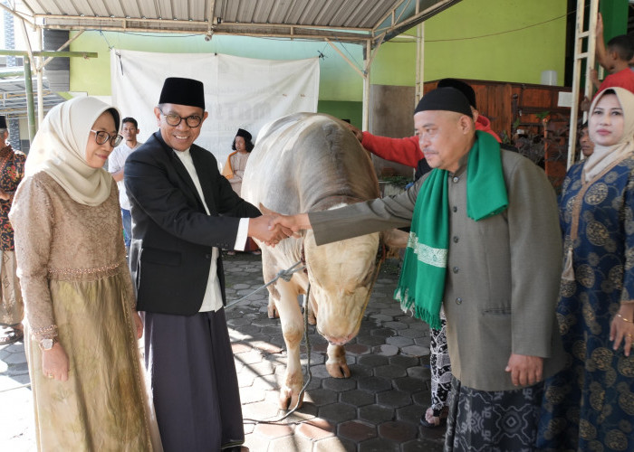 Sapi Kurban dari Presiden untuk Kota Batu Dibeli dari Peternak Oro-Oro Ombo, Disalurkan di Pesanggrahan