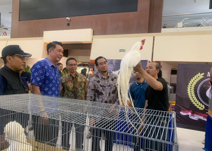 400 Pendaftar Merpati Hias Ramaikan Piala Rektor Satwa Brawijaya 2026
