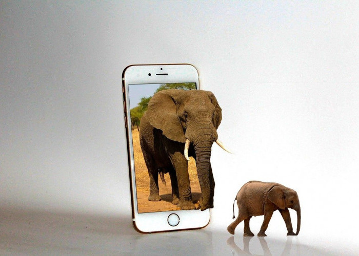 9 Aplikasi yang Dapat Membantu Ibu di Era Digital: Solusi Praktis untuk Kebutuhan Harian