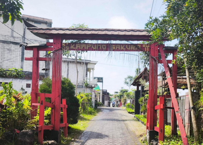 Desa Wisata Sidomulyo, Kota Batu: Kampung Bunga dengan Mal Tanaman Hias hingga Kampung Sakura