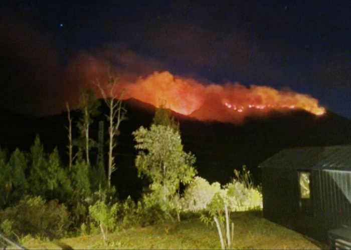 Karhutla Meluas di Jawa Timur, 5 Kawasan Pegunungan Terbakar: Semeru Terparah