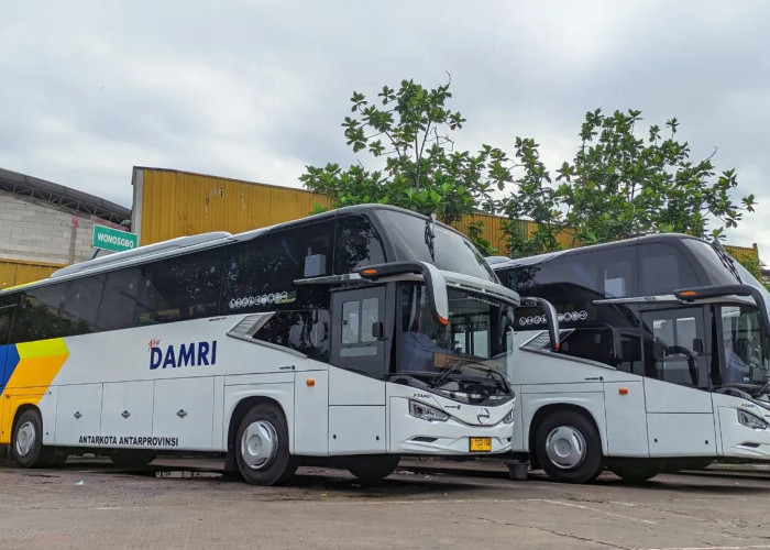 42 Shuttle Bus Gratis Disiapkan ke Sirkuit Mandalika, Ini Rute dan Jadwalnya