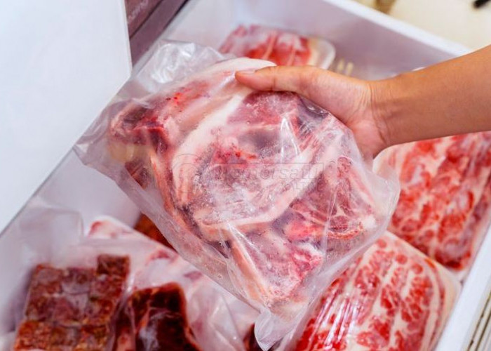 Dendi Budiman Soroti Dugaan Ketidakteraturan dalam Kuota Impor Daging Sapi Beku