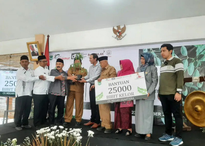 Kelor Kabupaten Malang Punya Potensi Besar, UB Ikut Kembangkan hingga Peluang Pasar Global