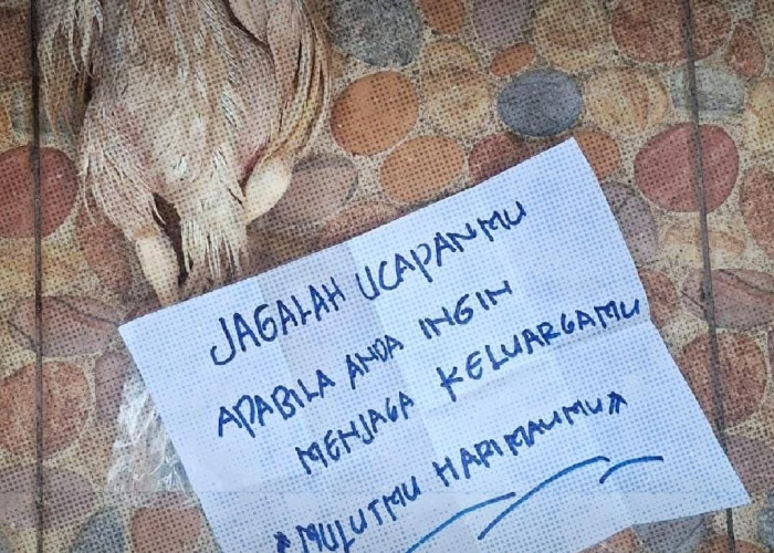 Deretan Influencer Ini Kena Teror Bangkai Ayam hingga Bom Molotov usai Soroti Bencana Sumatera