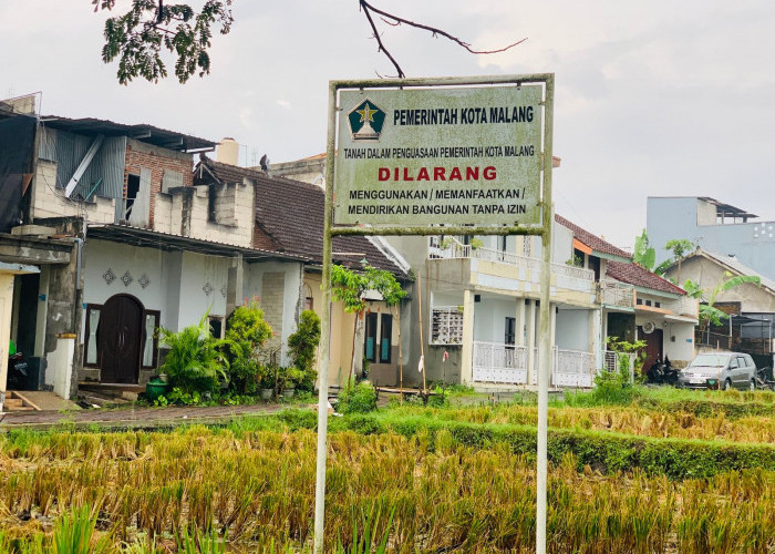 Lahan Sawah Dilindungi di Kota Malang Tak Sesuai Data Riil, Pemkot Siapkan Revisi RTRW