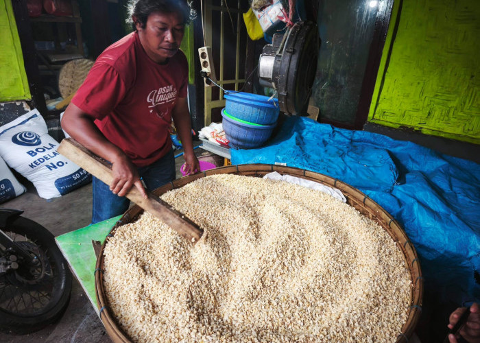Geliat Produsen Tempe Desa Beji, Kota Batu, di Tengah Kenaikan Harga Kedelai Impor