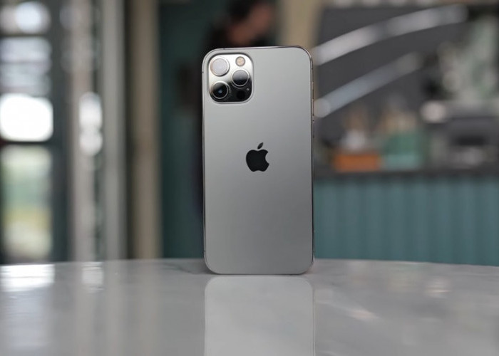 Kamera iPhone 12 Pro Masih Bisa Bersaing pada 2026? Ini Hasil Foto, Video, dan Fakta yang Perlu Diketahui
