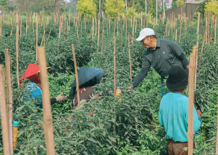 ‎Krisis Regenerasi Petani Jadi PR Besar, Pemkot Batu Dorong Anak Muda Mau Bertani