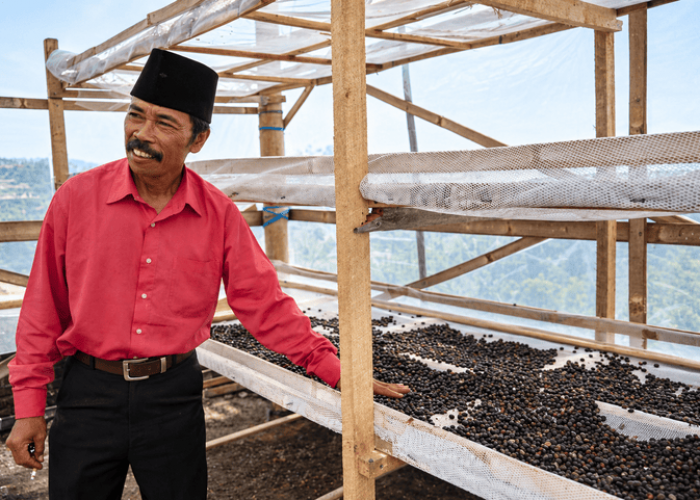 Bukan Cuma Pesugihan, Lereng Gunung Kawi Malang Juga Hasilkan Kopi Bercita Rasa Buah