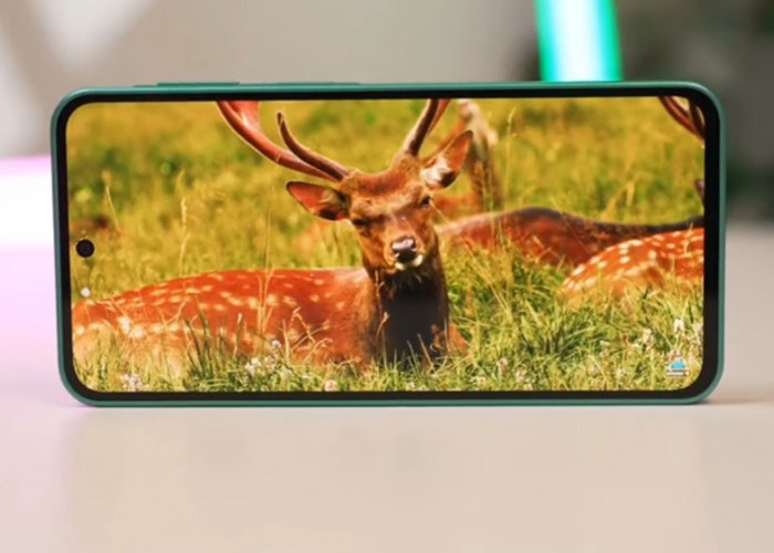 Samsung Galaxy F70 Pro Andalkan Baterai 6.000 mAh dan Update Android 6 Generasi