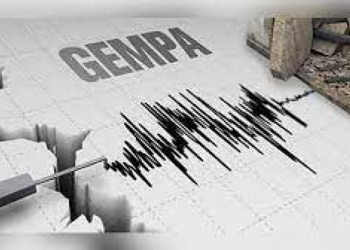 Gempa M5,8 Guncang Jailolo Maluku Utara, Manado Ikut Bergetar