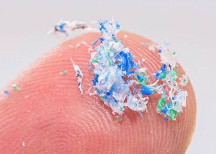 Benarkah Sikat Gigi Plastik Melepaskan Mikroplastik? Ini Penjelasan Ilmiahnya