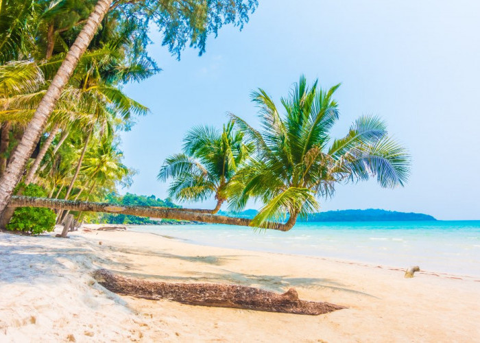 Ini Sembilan Tips Aman Liburan ke Pantai, Nikmati Liburan Seru Tanpa Khawatir Bahaya