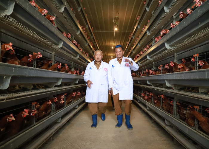 Usai Studi Tebu di Banyuwangi, Bupati Malang Belajar Ternak di Blitar