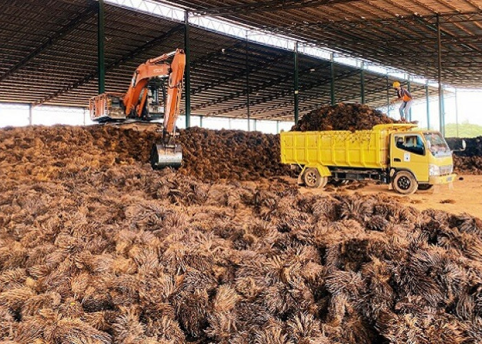 Biomassa dan Masa Depan Kemandirian Energi Indonesia
