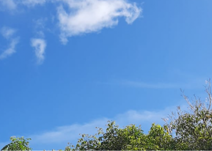 Cuaca Malang Raya 12 Maret: Dominan Cerah dengan Variasi Berawan, BMKG Peringatkan Jatim Hujan Sedang-Lebat