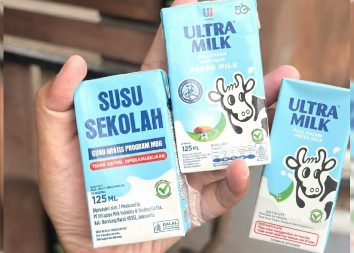 Kepala BPOM Tanggapi Viral Susu UHT Rekombinasi untuk MBG: Yang Penting Aman, Bergizi, dan Bermutu