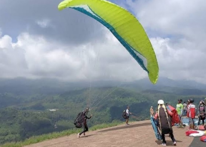 Paralayang Gunung Banyak Jadi Magnet Wisatawan, Bisa Terbang hingga Sunrise Flight