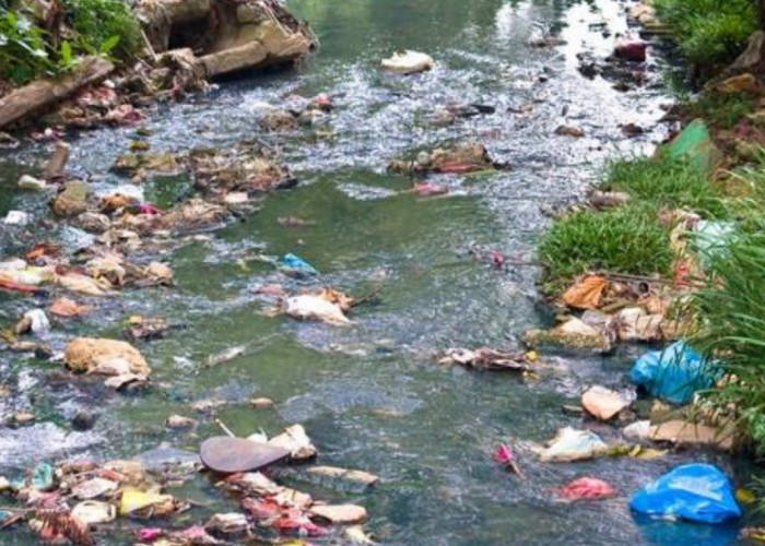 3 Ton Sampah Terkumpul di Sungai Metro Malang, Gerakan Ngalam Ricik Libatkan Masyarakat