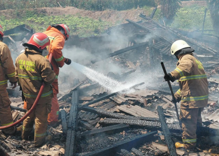 Kebakaran Peternakan Ayam di Kota Batu, Mesin Pemanas Diduga Overheat, Kerugian Rp600 Juta