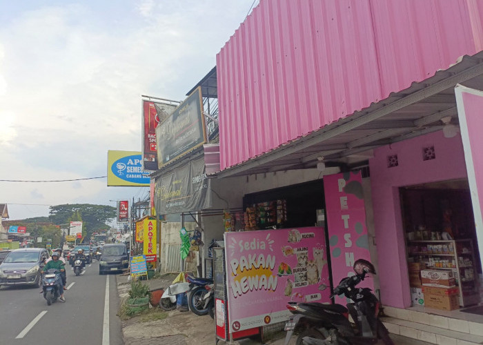 Di Balik Libur Tahun Baru, Mereka yang Tetap Bekerja di Hari Pertama 2026