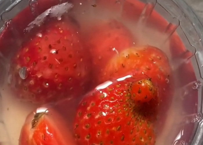 Puding MBG Diduga Berbelatung, Dapur SPPG Tulusrejo 2 Minta Maaf dan Janji Evaluasi Total