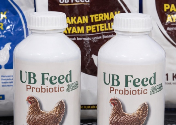 FAST UB Luncurkan UB Feed Probiotik, Alternatif Pengganti AGP untuk Peternakan