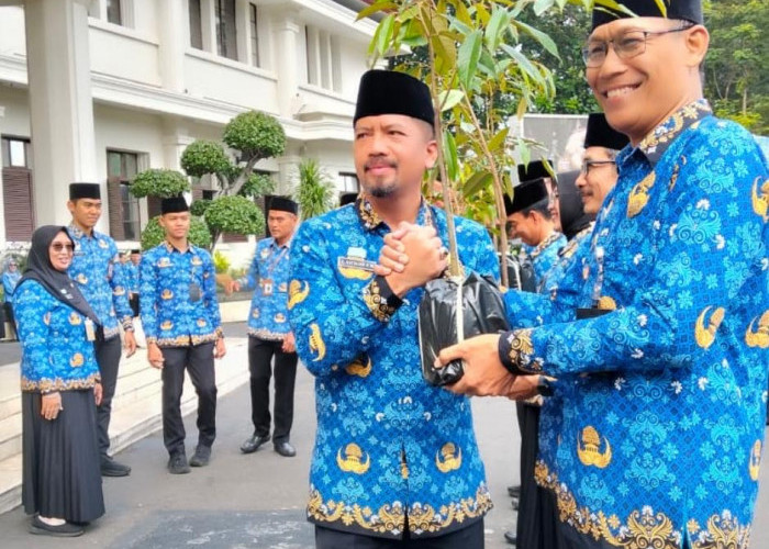 DLH Malang Distribusikan 3.200 Bibit Pohon, Penghijauan 57 Kelurahan untuk Kualitas Lingkungan