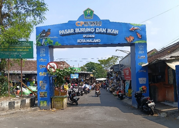 Jejak Historis Pasar Burung Splendid, Oase Satwa di Jantung Kota Malang
