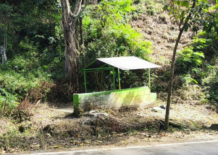 Misteri Makam Mbah Klemuk di Jalur Ekstrem Batu, Kisah Nenek Pedagang yang Melegenda