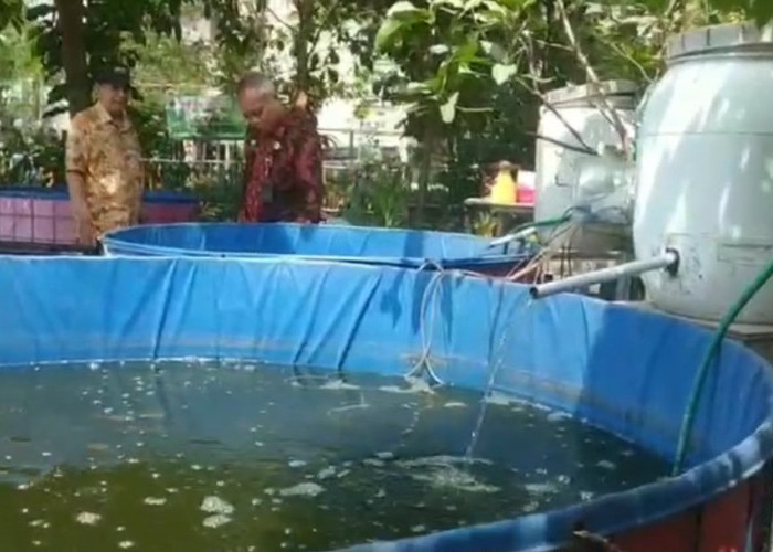 RT Berkelas di Malang Hasilkan Panen Lele, Warga Putar Keuntungan untuk Modal
