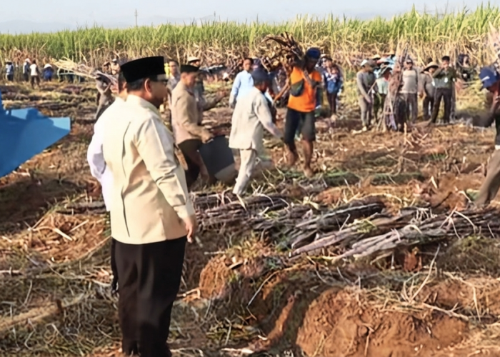 Panen Raya di Malang, Prabowo Tegaskan Ketahanan Pangan Fondasi Indonesia Emas 2045