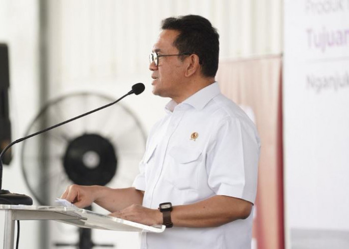 Dorong UMKM Ekspor, Kemendag Fasilitasi 462 Kegiatan Business Matching di 33 Negara