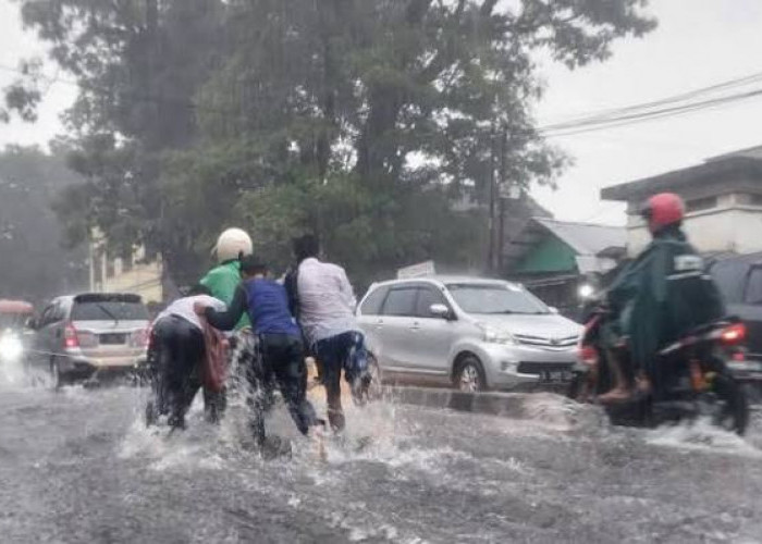 Diguyur Hujan Deras, Beberapa Titik di Kota Malang Kembali Terendam Banjir
