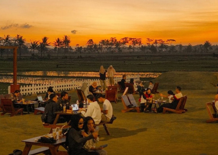 Ngopi Sore dengan Senja: Rekomendasi 9 Kafe di Malang yang Sajikan Sunset Spektakuler