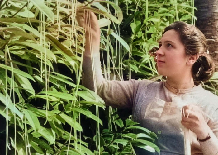 Kisah Lelucon April Mop Paling Ikonik dari Burger Orang Kidal hingga Gunung Berapi Palsu