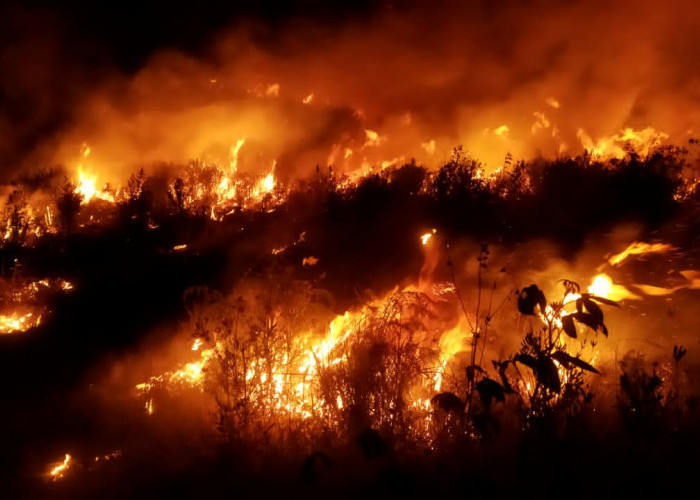 Api Bromo Belum Padam, Luas Kebakaran Capai 196 Hektare, 3 Helikopter Dikerahkan