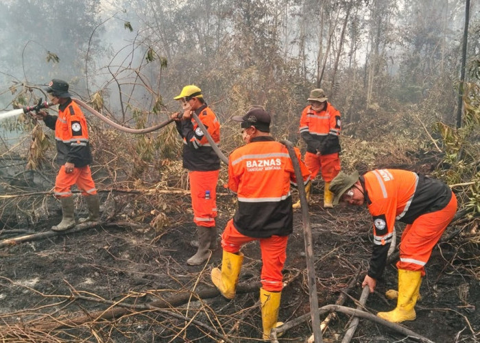 NEA Singapura Siap Tuntut 10 Korporasi Indonesia Imbas Kabut Asap, Ini Daftarnya 