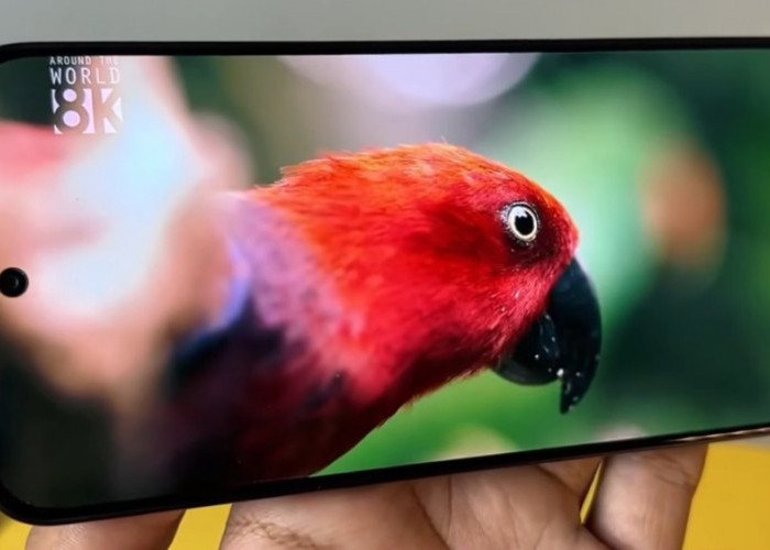 Rekomendasi HP Gaming 3 Jutaan Terbaik 2026: Performa Gahar, Baterai Badak, Anti Lag