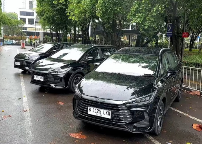BYD M6 DM-i hadir dengan teknologi hybrid canggih, jarak tempuh hingga 1.300 km, fitur lengkap, dan konsumsi B