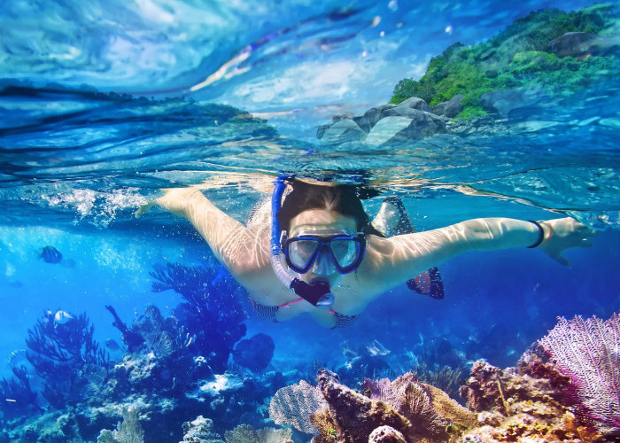 Momen Hari Wisata, Kenali 9 Lokasi Snorkeling Kelas Dunia di Indonesia, Dari Raja Ampat hingga Karimunjawa
