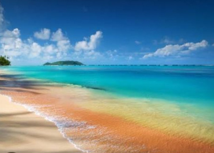 Pingin Mantai Yang Eksotis, Ramah Keluarga, Enak Untuk Camping? Semua Ada di Pantai Malang selatan