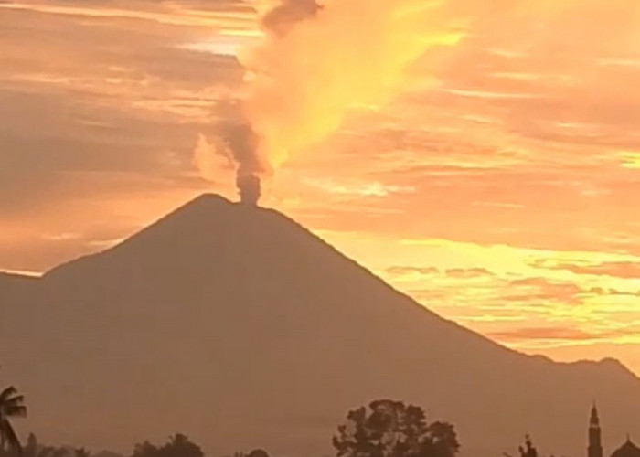 Gunung Semeru Erupsi 11 Kali, Kolom Abu Capai 1.000 Meter