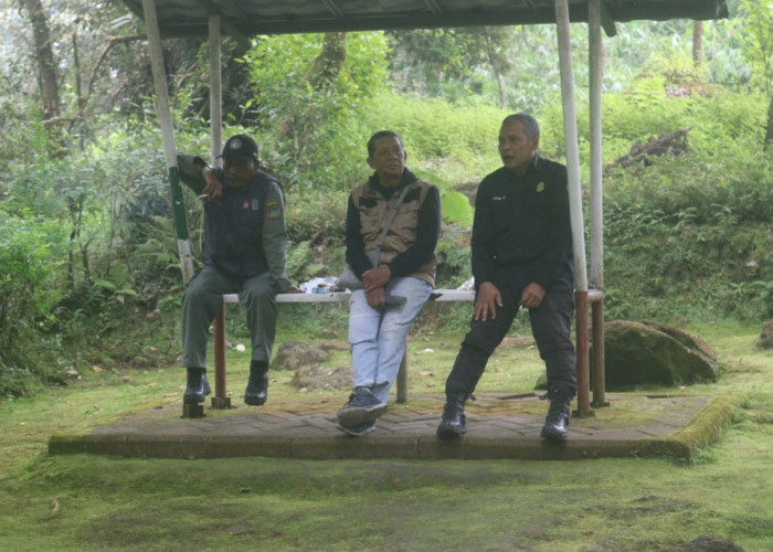 Kisah Sang Penjaga Rimba, Keteguhan dan Pengabdian di Balik Seragam Polisi Hutan