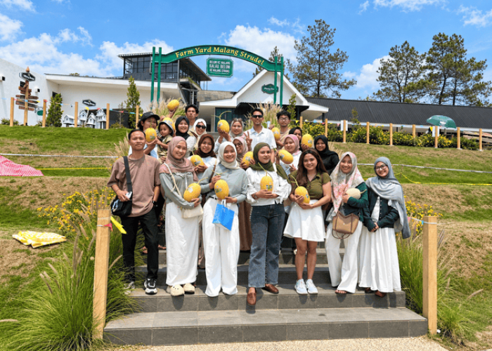 Malang Strudel & Farm Buka Wisata Petik Melon Premium Jepang di Kota Batu