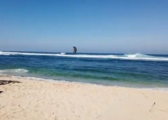 Menikmati Sensasi Kuliner Pesisir di Pantai Tanjung Penyu Malang: Lezat, Segar, dan Ramah Kantong