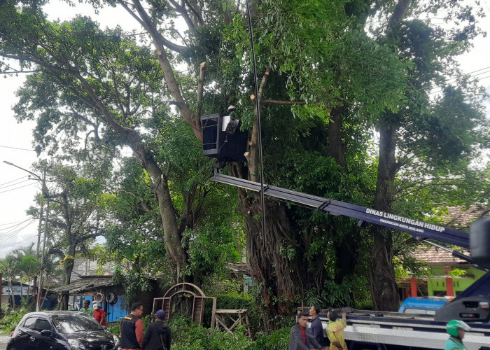 Keluhan Jalan Rusak dan Penerangan Kurang di Lesanpuro Direspons Cepat oleh Pemkot Malang