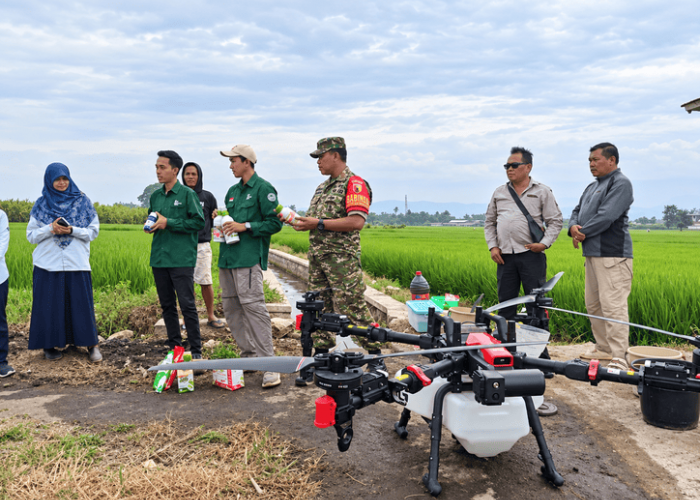 Babinsa Dampingi Petani Arjowinangun Semprot Pestisida Padi Pakai Drone